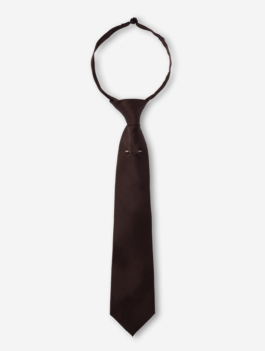 Mocha silk satin tie